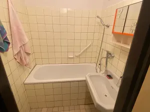 Prodej bytu 2+1, Brno, Plevova, 58 m2