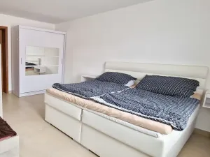 Prodej vícegeneračního domu, Pasohlávky, 320 m2