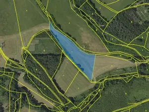 Prodej louky, Velké Opatovice, 9717 m2