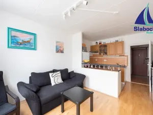 Prodej bytu 2+kk, Praha - Braník, Roškotova, 45 m2