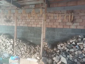 Prodej rodinného domu, Horní Radslavice, 883 m2