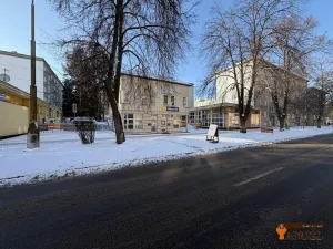 Pronájem obchodního prostoru, Havířov, Dlouhá třída, 55 m2