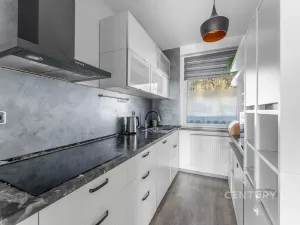 Prodej bytu 4+kk, Moravec, 112 m2