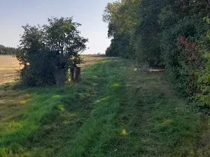 Prodej pozemku, Kolaje, 4429 m2