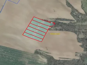 Prodej pole, Snědovice, 6797 m2