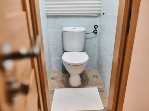 Pronájem bytu 2+1, Frýdek-Místek, 28. října, 52 m2