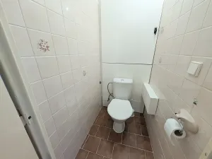 Prodej bytu 3+1, Mladá Boleslav, Jana Palacha, 74 m2