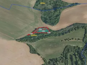 Prodej louky, Horní Slivno, 1353 m2