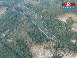 Prodej lesa, Hůrky, 6294 m2