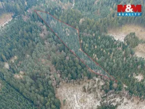 Prodej lesa, Hůrky, 6294 m2