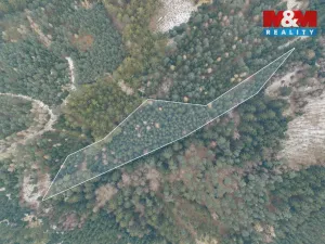 Prodej lesa, Hůrky, 6294 m2