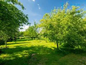 Prodej činžovního domu, Frýdek-Místek, Panské Nové Dvory, 445 m2