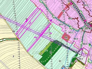 Dražba louky, Podolí, 10906 m2