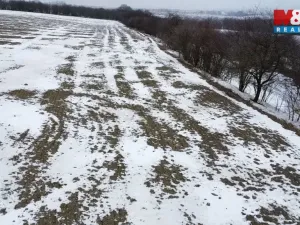 Prodej pole, Dolní Slivno, 10322 m2