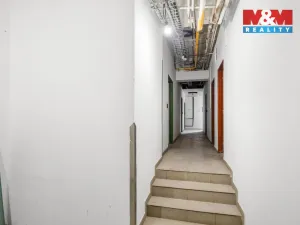 Pronájem obchodního prostoru, Kladno, Čechova, 174 m2