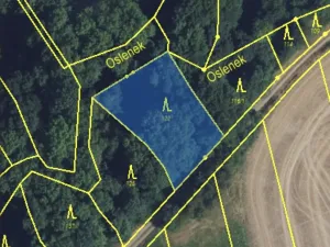 Prodej lesa, Městečko Trnávka - Lázy, 856 m2