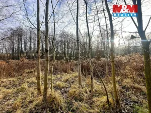 Prodej pozemku pro bydlení, Petřvald, Ostravská, 4322 m2