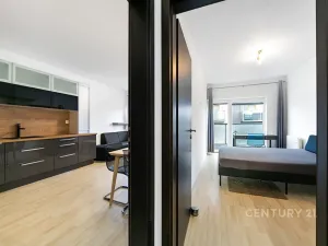 Pronájem bytu 2+kk, Plzeň, U Velkého rybníka, 60 m2