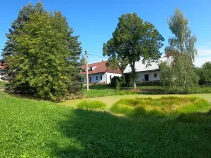 Prodej rodinného domu, Pecka, 300 m2