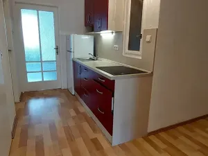 Pronájem bytu 1+1, Praha - Holešovice, Dělnická, 50 m2