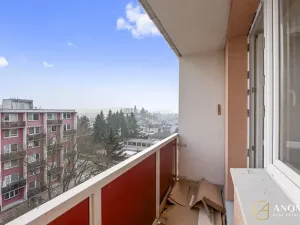 Pronájem bytu 1+1, Brno, Vavřinecká, 35 m2