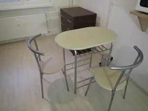 Pronájem bytu 1+kk, Liberec - Liberec I-Staré Město, Ruprechtická, 20 m2