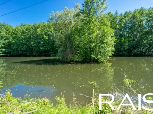 Prodej rodinného domu, Víchová nad Jizerou, 145 m2