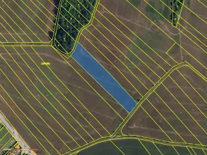 Prodej pole, Babice u Rosic, 15167 m2