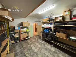 Prodej rodinného domu, Krupka, Alešova, 226 m2