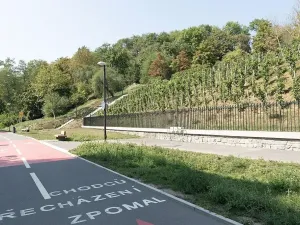 Prodej bytu 2+kk, Praha - Žižkov, Jeseniova, 49 m2