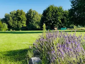 Prodej rodinného domu, Rabí, 320 m2