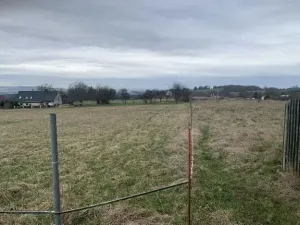 Dražba louky, Nový Oldřichov, 1550 m2