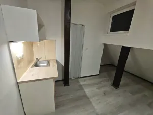 Pronájem bytu 1+kk, Praha - Hlubočepy, Na Zlíchově, 21 m2