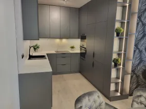 Pronájem bytu 4+kk, Ostrava - Moravská Ostrava, Důlní, 120 m2