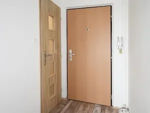 Pronájem bytu 1+1, Chomutov, Dřínovská, 35 m2