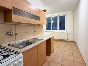 Pronájem bytu 2+1, Chomutov, Růžová, 60 m2