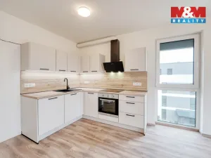 Pronájem bytu 2+kk, Plzeň - Litice, 48 m2