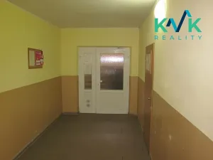 Pronájem bytu 2+1, Habartov, Karla Čapka, 51 m2