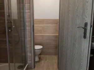 Pronájem bytu 1+1, Frýdek-Místek - Frýdek, Tolstého, 35 m2