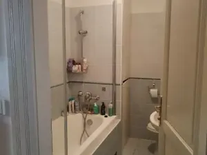 Prodej bytu 3+kk, Praha - Staré Město, Bílkova, 71 m2