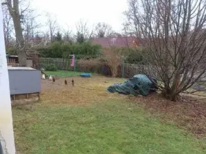 Dražba rodinného domu, Hrádek nad Nisou, K Rybníku, 180 m2