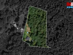 Prodej chalupy, Tanvald - Šumburk nad Desnou, 118 m2