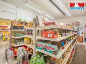 Prodej rodinného domu, Sedlec-Prčice, Vítkovo nám., 200 m2