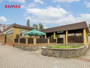 Prodej obchodního prostoru, Čelákovice, Rumunská, 794 m2