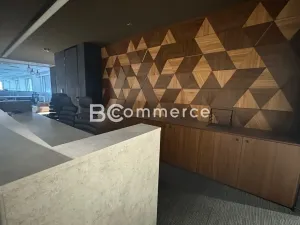 Pronájem kanceláře, Brno, 620 m2