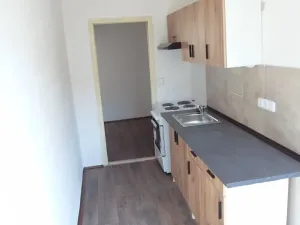 Pronájem bytu 1+1, Ústí nad Labem, Jindřicha Plachty, 42 m2