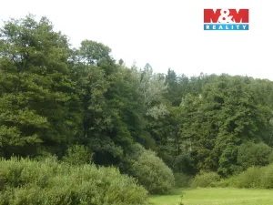 Prodej lesa, Vysoká Srbská, 26095 m2