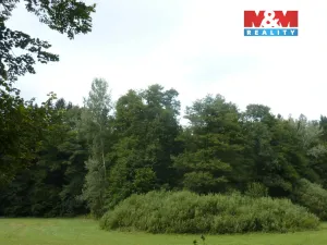 Prodej lesa, Vysoká Srbská, 26095 m2