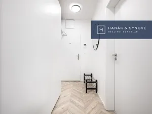 Pronájem bytu 1+kk, Brno, Cejl, 26 m2