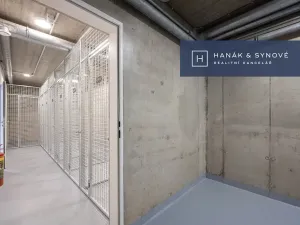 Pronájem bytu 1+kk, Brno, Cejl, 32 m2